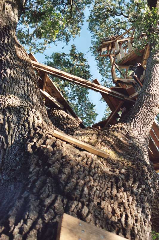 treehouse